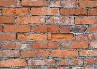 Textured brick wall showcasing various shades of red and orange with visible mortar joints in natural light