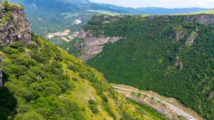 Aerial view of the dense greenery of the fores