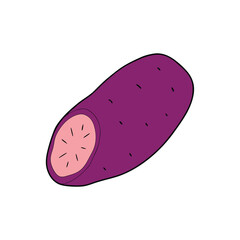 vector illustration of an apple
