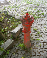 Red fire hydrant standing on cobblestone pavement surrounded by greenery in an urban setting during daylight