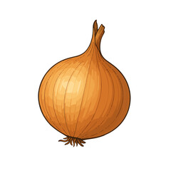 onion vector image, onion vegetable svg