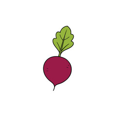 vector illustration of an apple