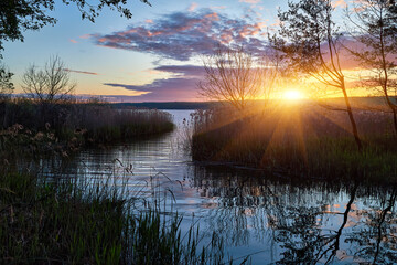 Sunny morning on lake channel with reeds, trees, and reflections.