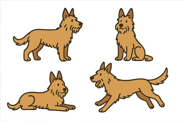 Berger Picard dogs in different poses illustration  