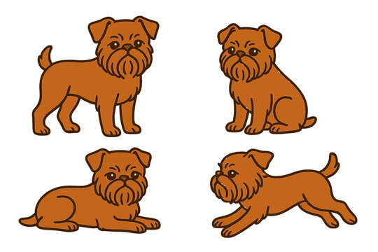 Brussels Griffons in different poses showing various expressions and actions  