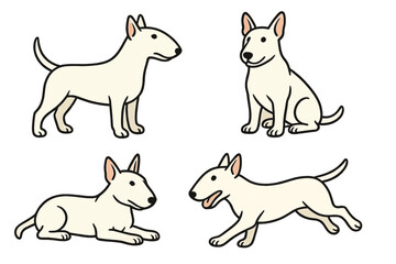 Miniature Bull Terrier in various poses on a transparent background 