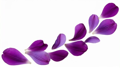 flying purple petals isolated on white background. AI Generate