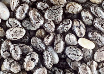 Macro shot of chia seeds with organic nature texture