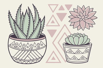 vector illustration of cactus