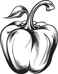 bell pepper sketch line art isolated on white