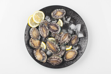 A general term for abalone and other shellfish.