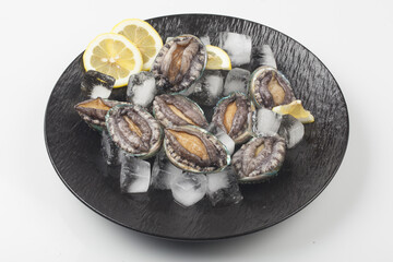 A general term for abalone and other shellfish.