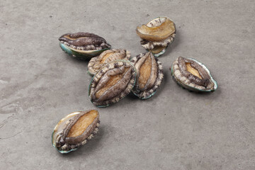 A general term for abalone and other shellfish.