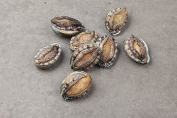A general term for abalone and other shellfish.
