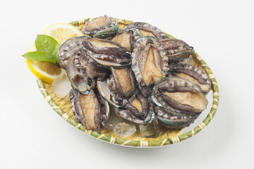 A general term for abalone and other shellfish.