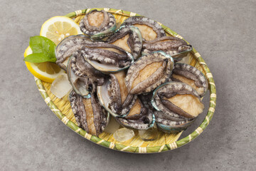 A general term for abalone and other shellfish.