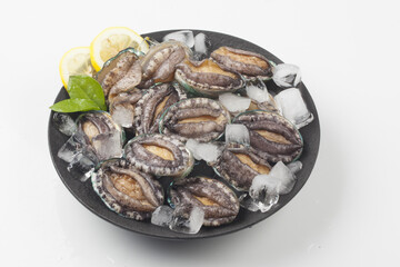 A general term for abalone and other shellfish.