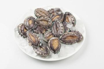 A general term for abalone and other shellfish.