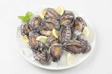 A general term for abalone and other shellfish.