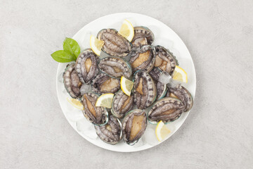A general term for abalone and other shellfish.