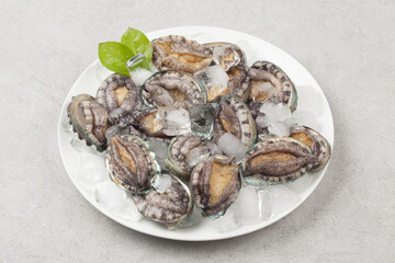 A general term for abalone and other shellfish.