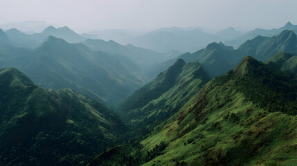 Naklejka premium Misty Green Mountains Landscape
