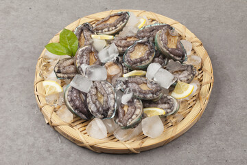 A general term for abalone and other shellfish.