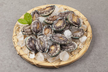 A general term for abalone and other shellfish.