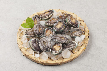 A general term for abalone and other shellfish.