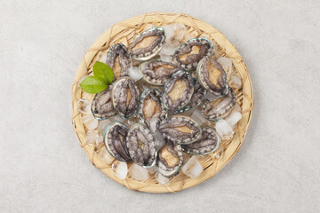 A general term for abalone and other shellfish.