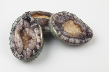 A general term for abalone and other shellfish.
