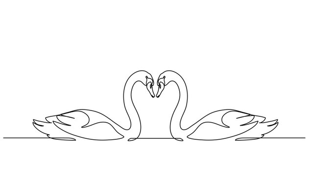Continuous line art or One Line drawing of swan make love for vector illustration, business farming. decorate concept. graphic design modern continuous line drawing