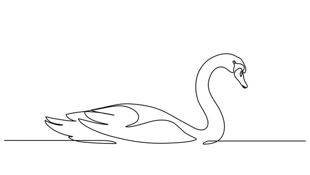 Swan in Continuous Line Art on Water &ndash; Minimal Vector Illustration