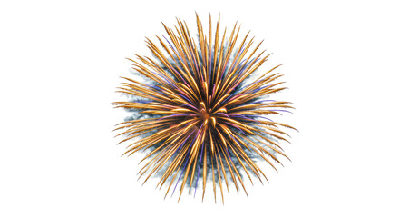 Fototapeta premium Isolated Burst of Golden Fireworks Display for Celebration