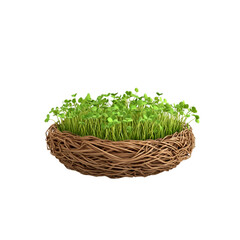Naklejka premium Fresh Microgreens Nestled in a Bird's Nest - Springtime Growth and Renewal