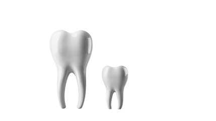 TWO HEALTHY TEETH AS PNG ON TRANSPARENT BACKGROUND.