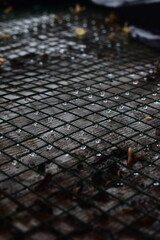 Abstract close-up of a wet mesh grate over weathered wood, showcasing intriguing textures and water...
