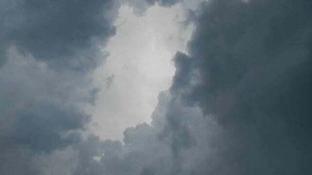 Natural stormy and rainy sky background with threatening clouds Cumulonimbus calvus, rainfall and bird in flight - real time. Topics: weather, storm, cloudscape, rain, meteorology, air space, climate