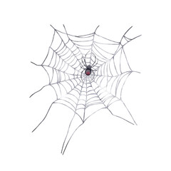 A spider on a spider's web. Watercolor illustration in black, gray and red tones.