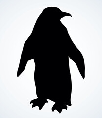 Penguin on the ice. Vector drawing