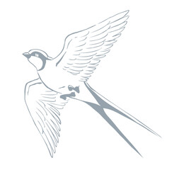 Swallow with paper card. Vector drawing