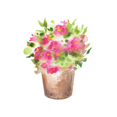 Watercolor pink flowers are planted in a clay pot. Watercolor illustration, hand-drawn on a white background. Isolated. Home decor. Garden decor. Clipart.