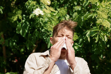 Young man with paper tissue suffering from seasonal pollen allergy near blossoming tree on spring...