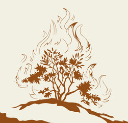 Burning bush. Vector drawing icon