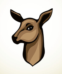 Beautiful noble deer. Vector drawing