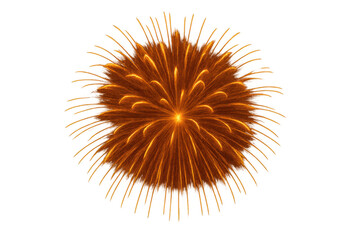 Obraz premium Orange firework exploding against a transparent background, creating a vibrant and celebratory display