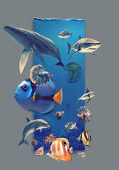 ocean life, concept design