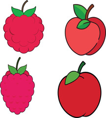 Fresh bundle of rose apple and raspberry isolated on white background, juicy tropical fruit collection for healthy eating, diet, organic market, vegan food, and natural ingredient concept