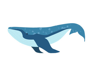 Cartoon blue whale isolated transparent