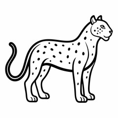 Jaguar on white background 